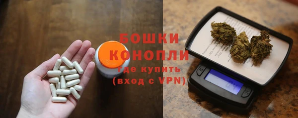дурь Богданович